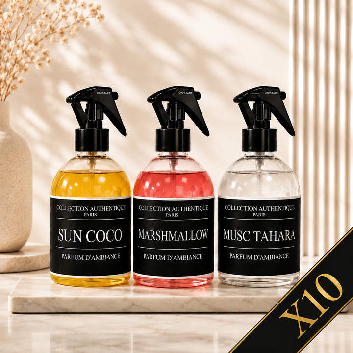 LOT DE 10 SPRAYS D'INTÉRIEUR