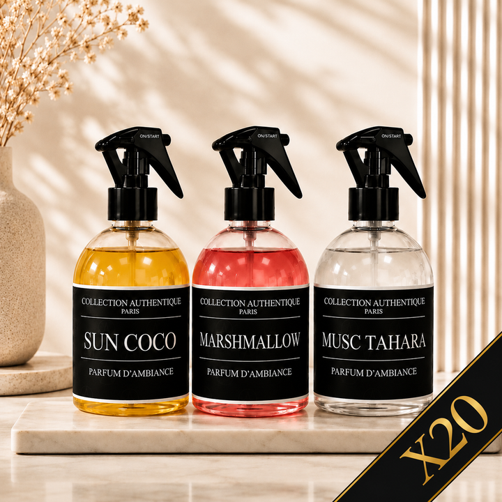LOT DE 20 SPRAYS D'INTÉRIEUR